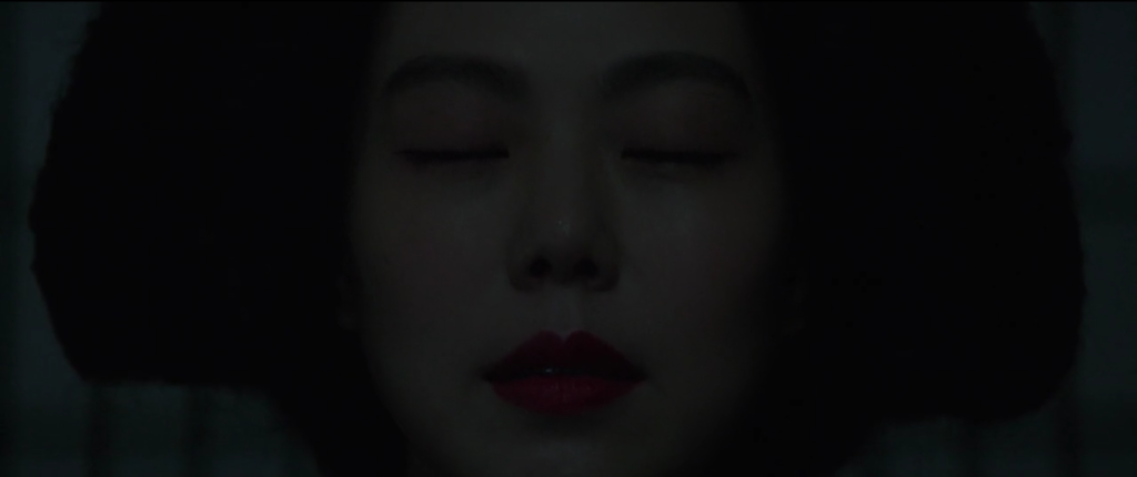 The Handmaiden- Primo piano strettissimo su Hideko catturata dalla lettura del succitato passo.